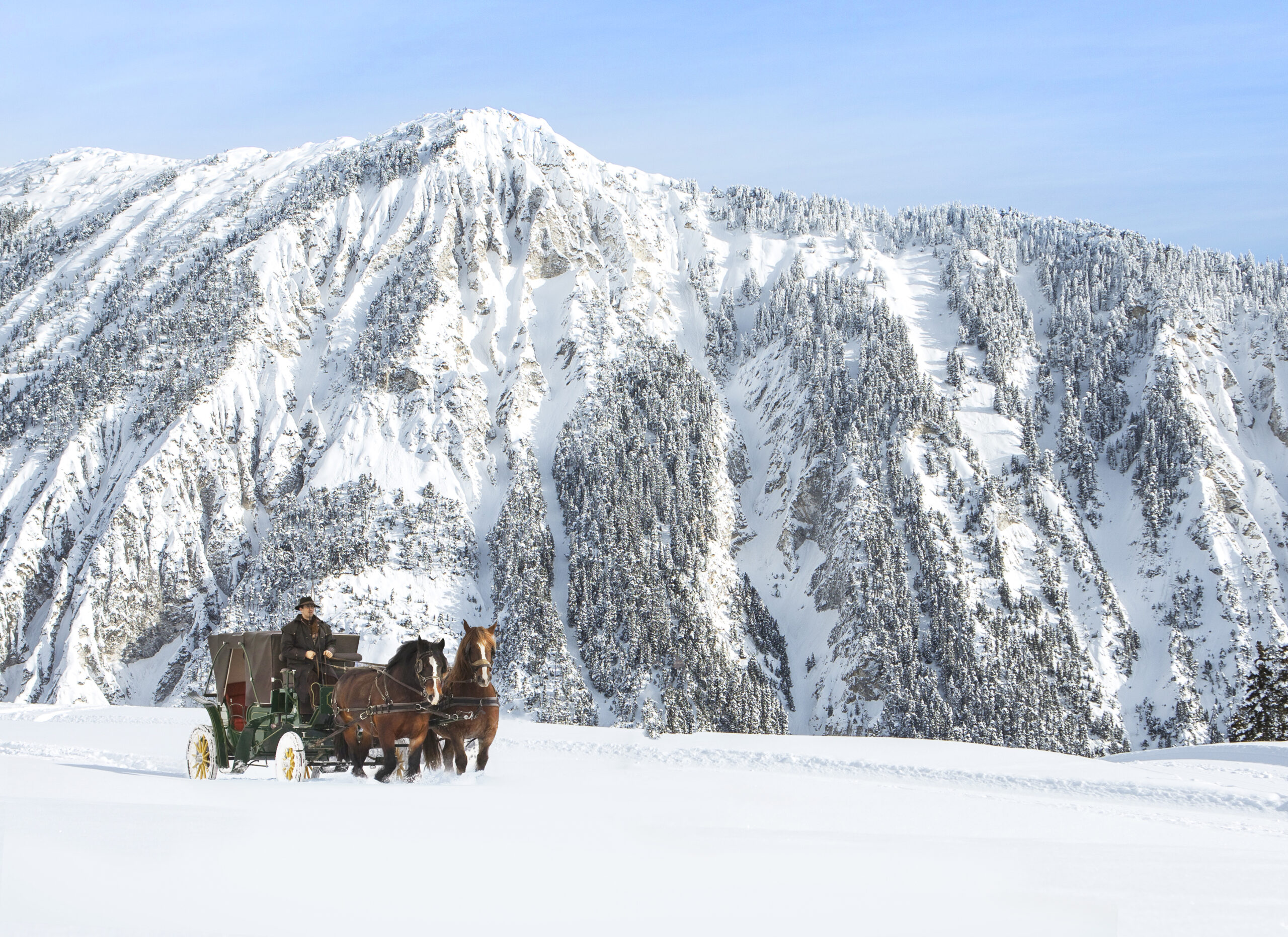 Take in the sights from a horse-drawn carriage ride