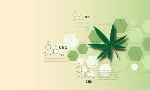 Cannabis chemistry